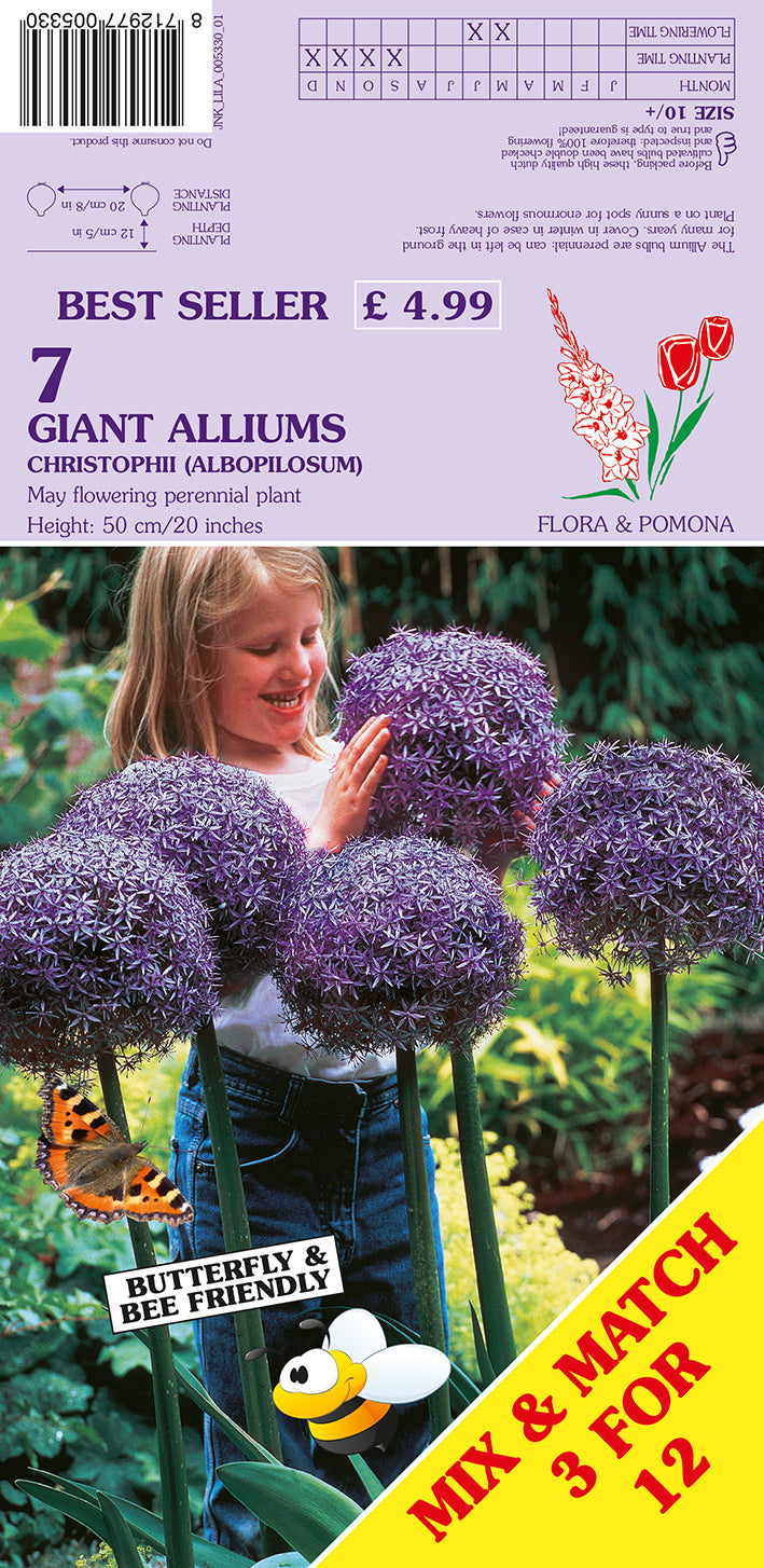 Front of a Flora & Pomona 7 Giant Alliums (Christiphia albopilosum) gardening packet. The packaging features a purple background with product details, a photo of a young girl smiling behind large blooming purple allium plants, and a yellow diagonal banner at the bottom right that reads 'MIX & MATCH 3 FOR 12'.