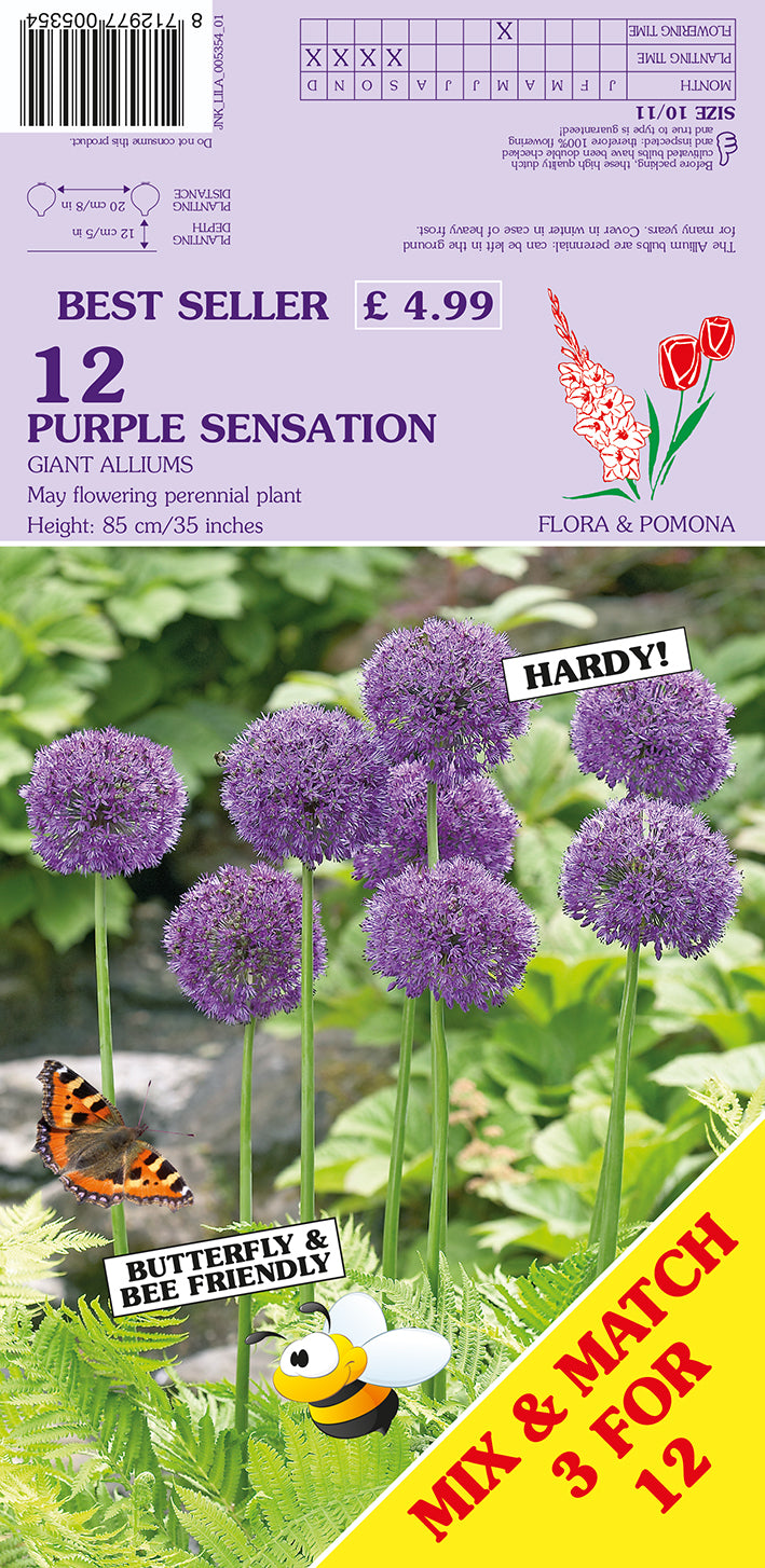 Seed packet for 'Flora & Pomona' 'Purple Sensation' hardy giant allium bulbs, showing a purple flower cluster, a butterfly, a bee, and promotional text on a light purple background.