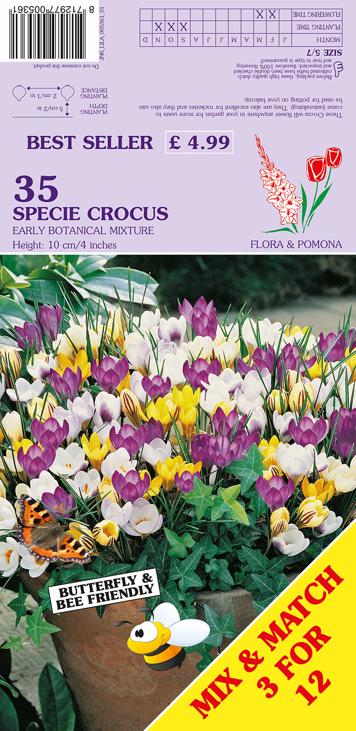 Seed packet for 'Flora & Pomona' 35 Specie Crocus Early Botanical Mixture, featuring a purple header with product details and a colorful photograph of blooming crocuses in a pot.
