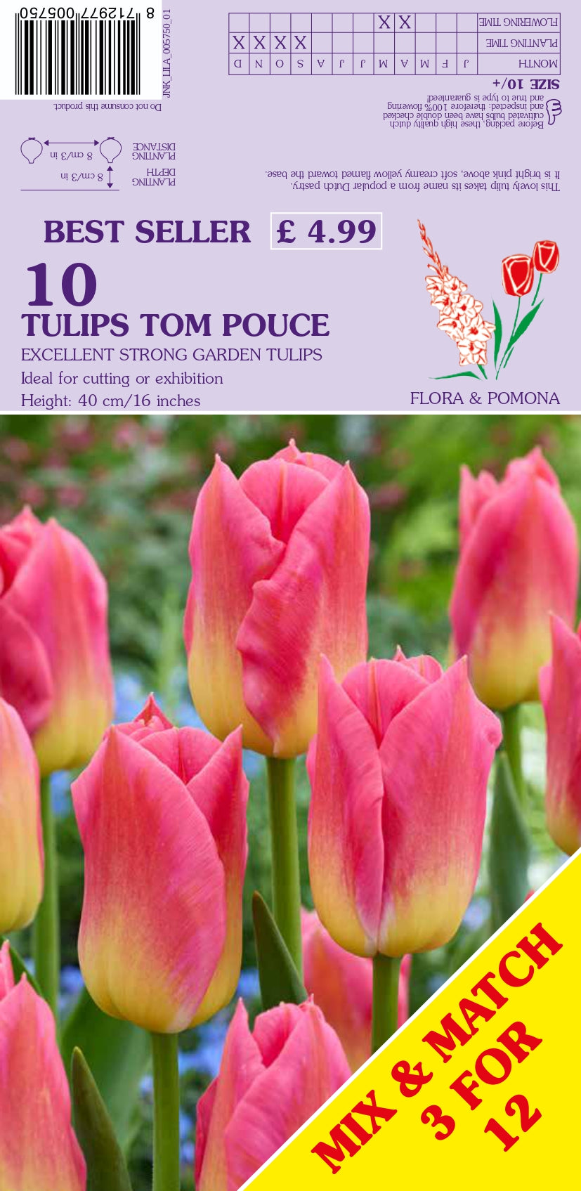 Flora & Pomona 10 Tulips Tom Pouce seed packet featuring a photo of pink and yellow tulips, with text showing the best seller price of £4.99 and a yellow 'Mix & Match 3 for 12' banner.