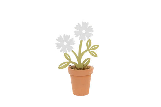 Small terracotta pot with decorative flowers on a white background