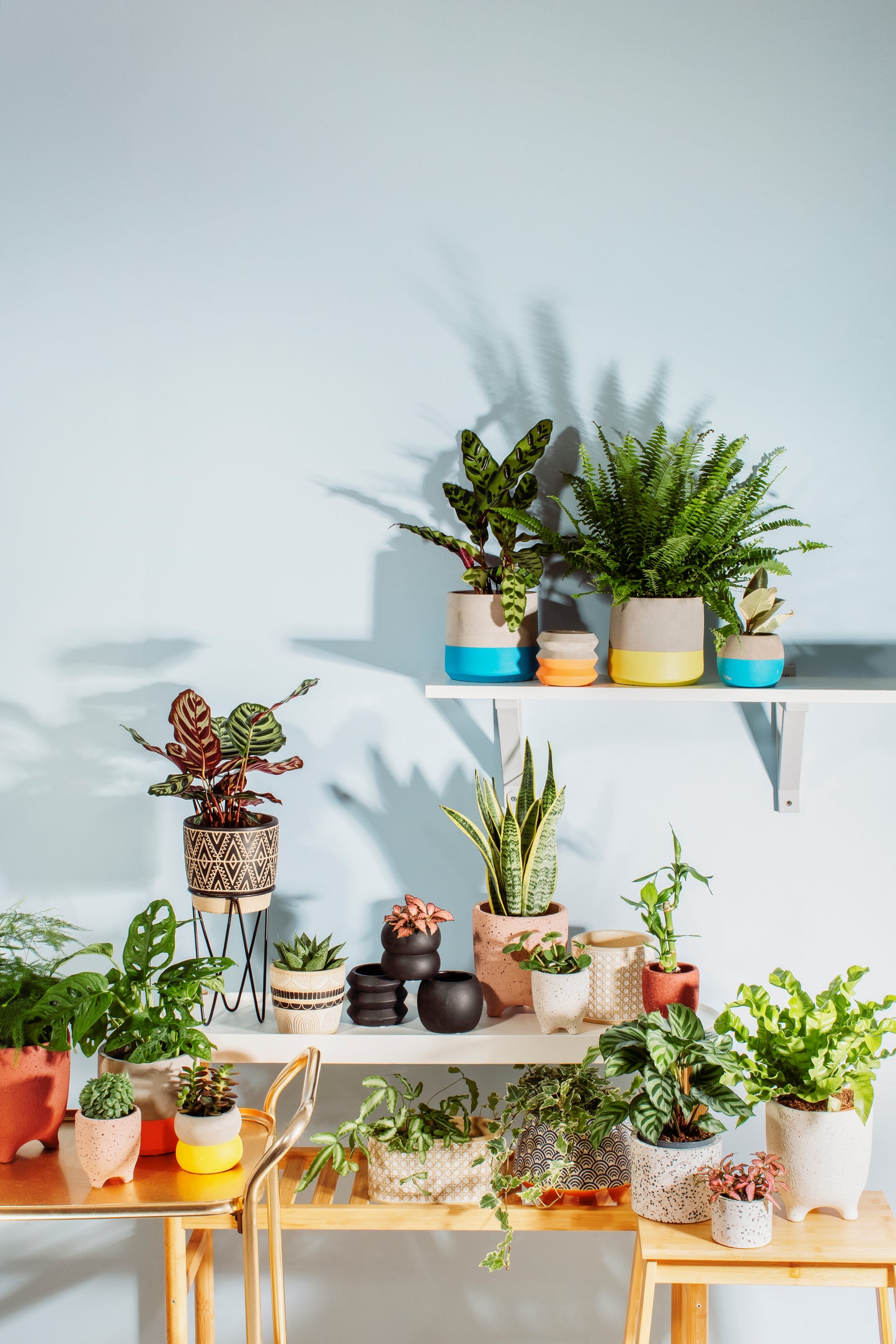 Plant pot cover with plant sticking out the top, on a shelf with other pots