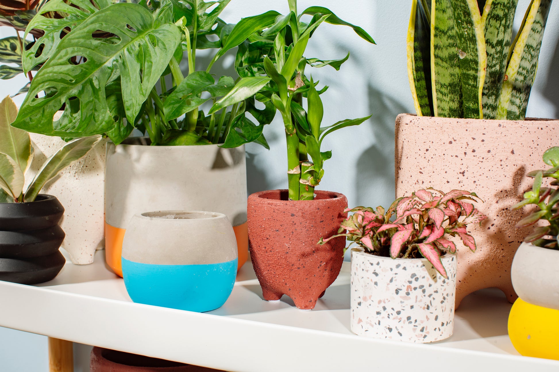 Plant pot cover with plant sticking out the top, on a shelf with other pots