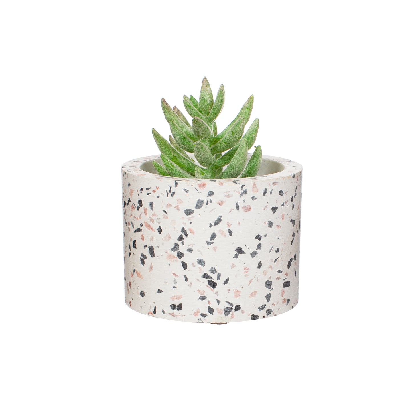 Plant pot cover with plant sticking out the top, on a white background