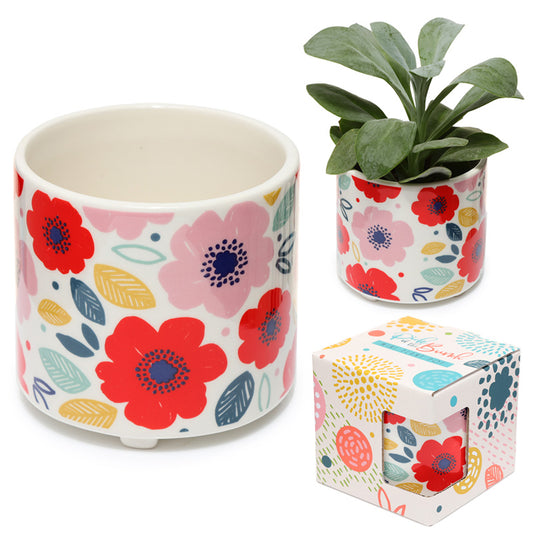 Floral-patterned plant pots with a matching box on a white background