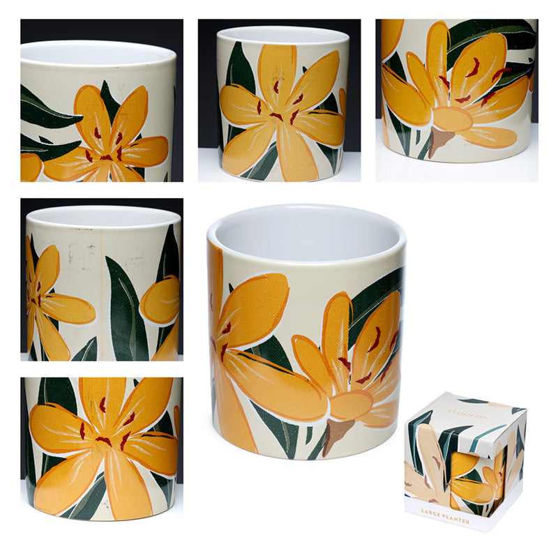 Set of mugs with floral design on a white background