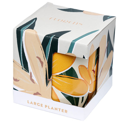 Large planter in a decorative box with leaf patterns