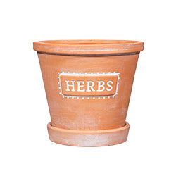 Terracotta pot with 'HERBS' label on a white background