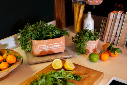 Kitchen counter with herbs, lemons, and oranges on a wooden cutting board.