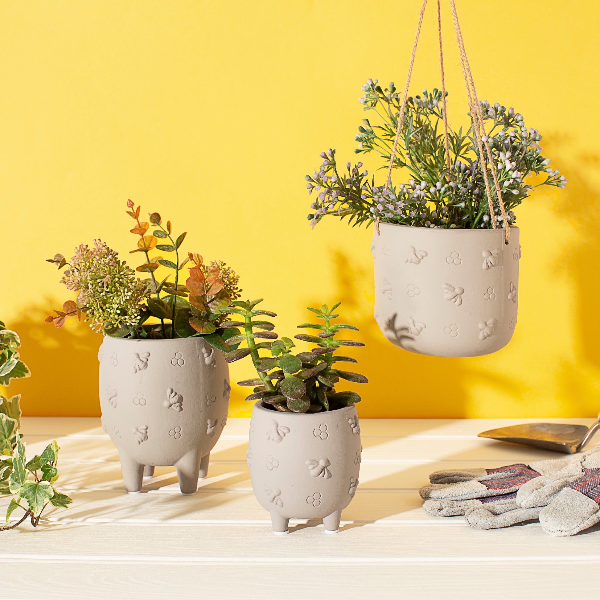 Hanging planter with a plant inside, on a yellow background