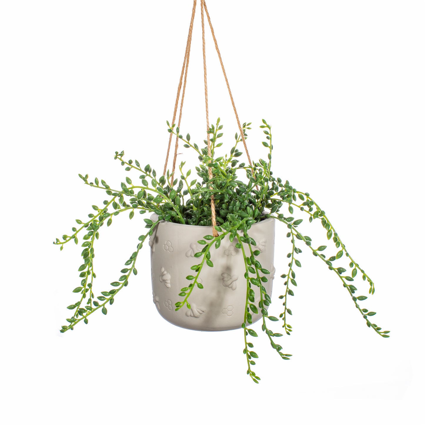 Hanging planter with a plant inside, on a white background