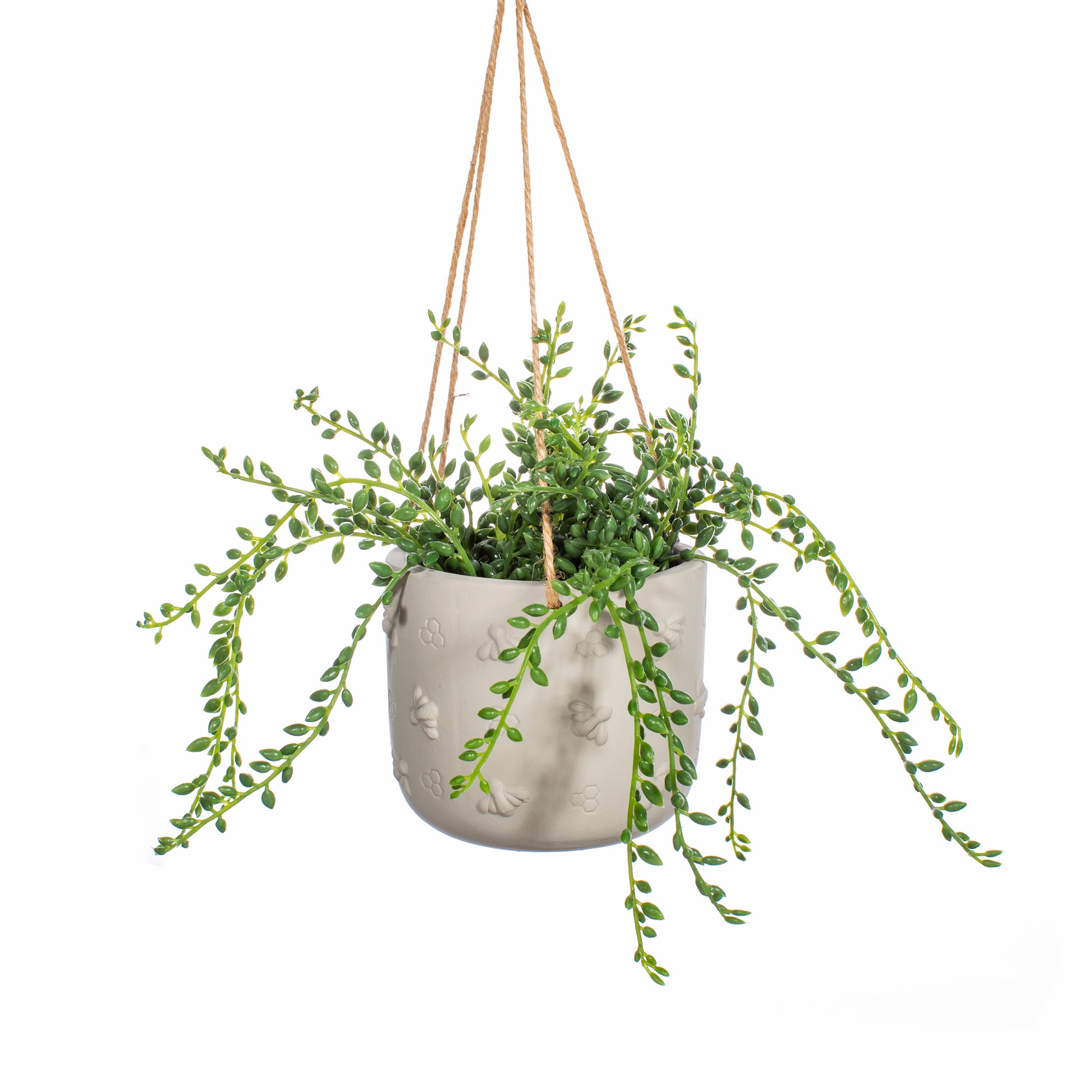Hanging planter with a plant inside, on a white background