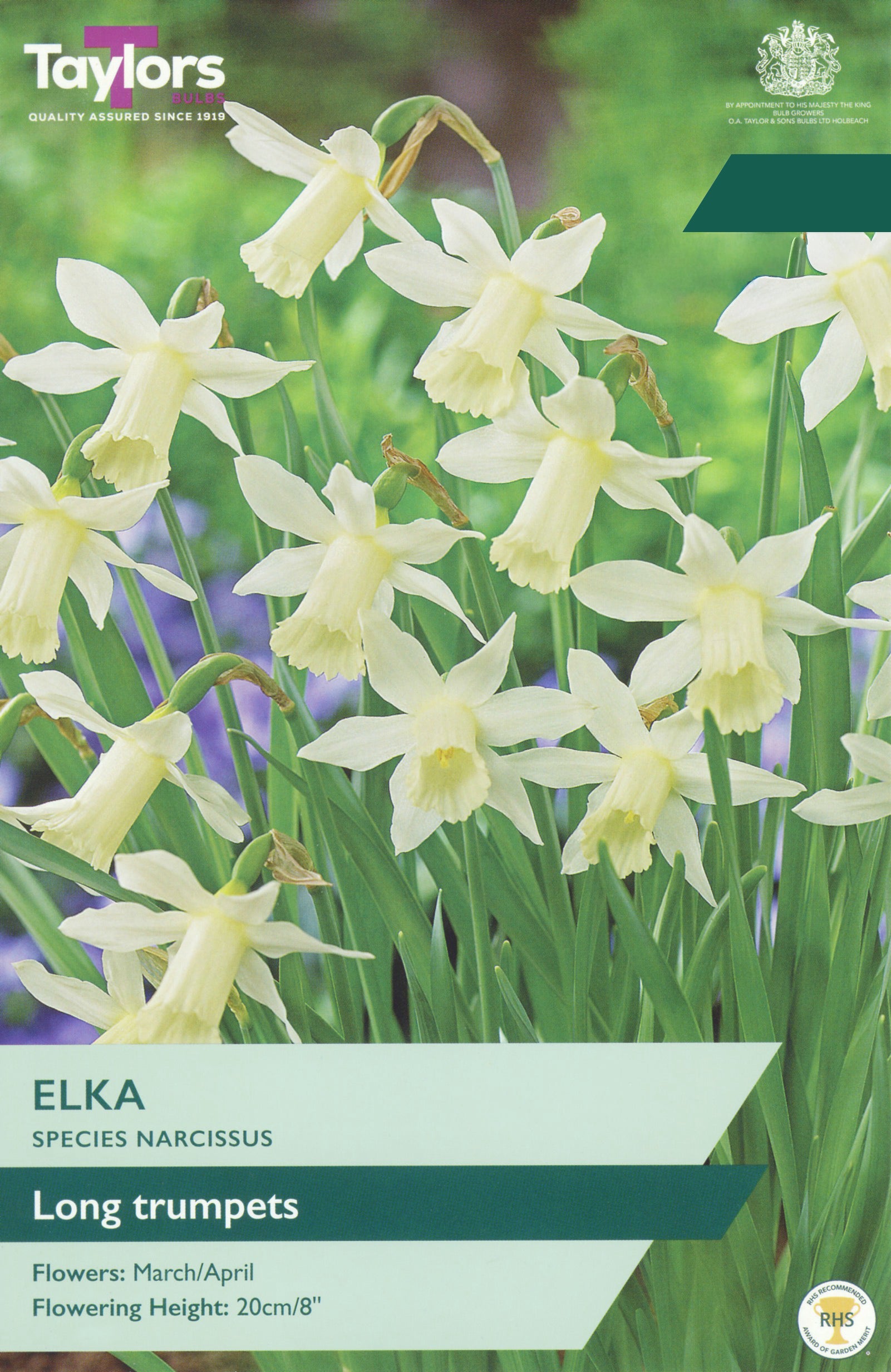 Seed packet for Taylors Elka Narcissus 'Long trumpets' daffodils, showing a photo of pale yellow flowers with green stems and leaves, plus product text and branding on a white and green background.
