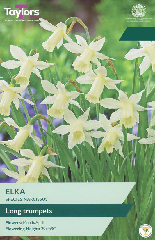 Seed packet for Taylors Elka Narcissus 'Long trumpets' daffodils, showing a photo of pale yellow flowers with green stems and leaves, plus product text and branding on a white and green background.