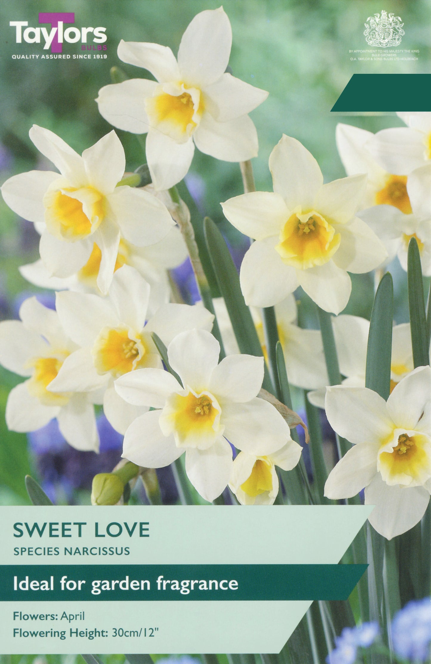 Flower label for Taylors Sweet Love Narcissus, showing white daffodils with yellow centers in a garden setting, with text noting it is ideal for garden fragrance and flowering in April.