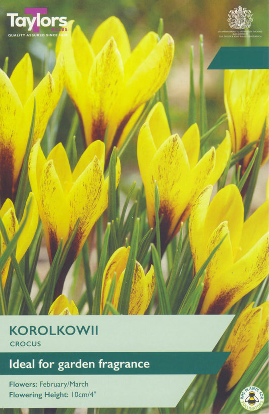 Seed packet for Taylor's Korolkowii Crocus, featuring a close-up photograph of bright yellow crocus flowers with green stems. Text on the packet reads 'KOROLKOWII CROCUS' and 'Ideal for garden fragrance'.
