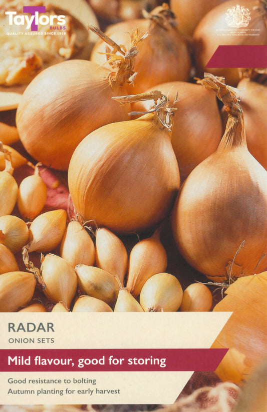 A product information card for Taylor's Radar Onion Sets, featuring a close-up photograph of golden-brown onion bulbs and sets. The text highlights 'Mild flavour, good for storing' and 'Good resistance to bolting Autumn planting for early harvest'.
