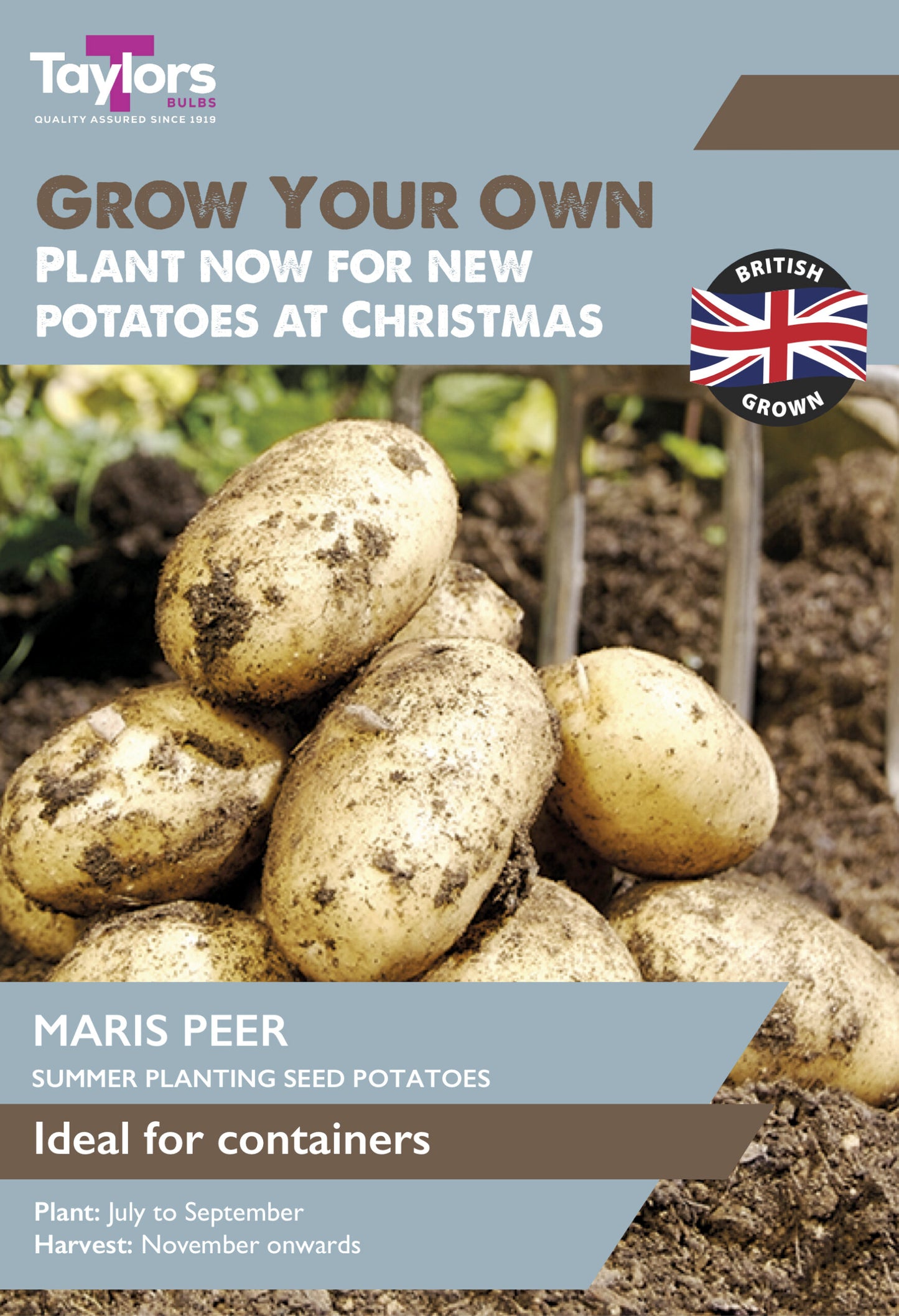 Front cover of a Taylors brand gardening seed packet for Maris Peer summer planting seed potatoes, featuring a pile of harvested potatoes in soil with text about planting for Christmas.
