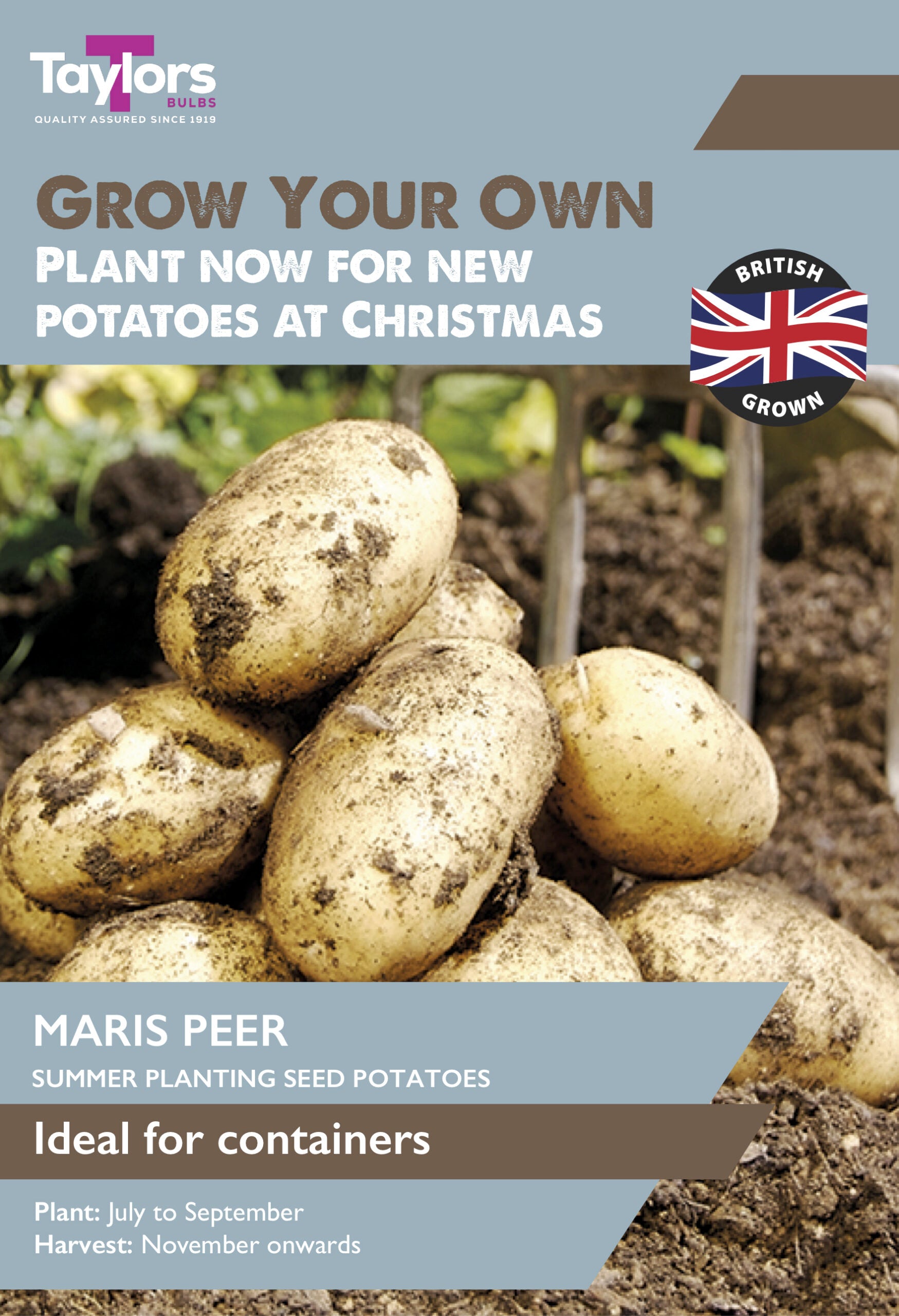 Front cover of a Taylors brand gardening seed packet for Maris Peer summer planting seed potatoes, featuring a pile of harvested potatoes in soil with text about planting for Christmas.