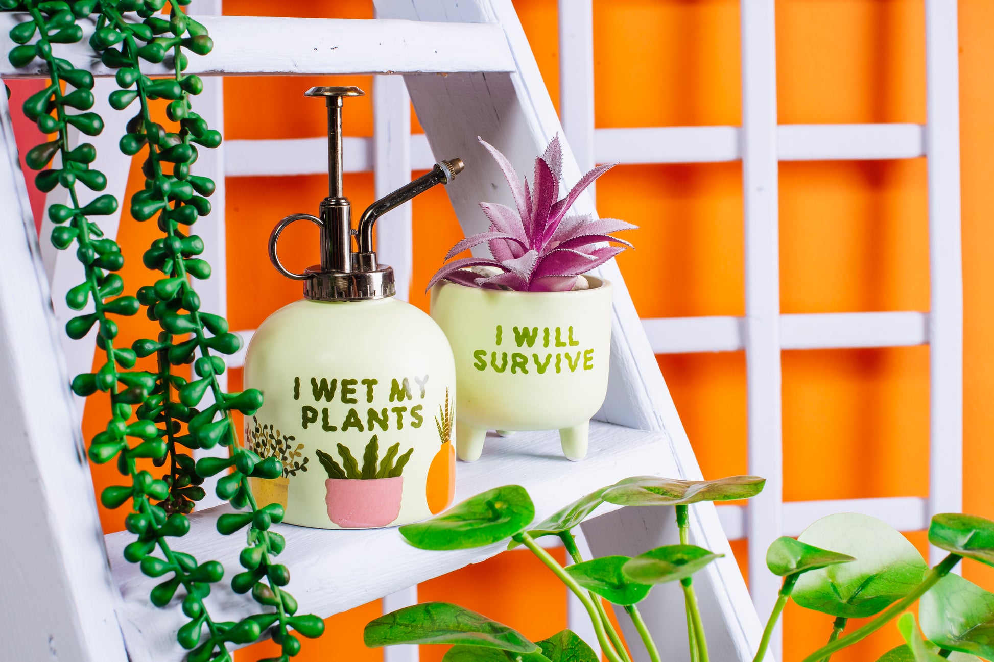 Green plant pot with purple leaves next to a green plant water sprayer, on an orange and white background