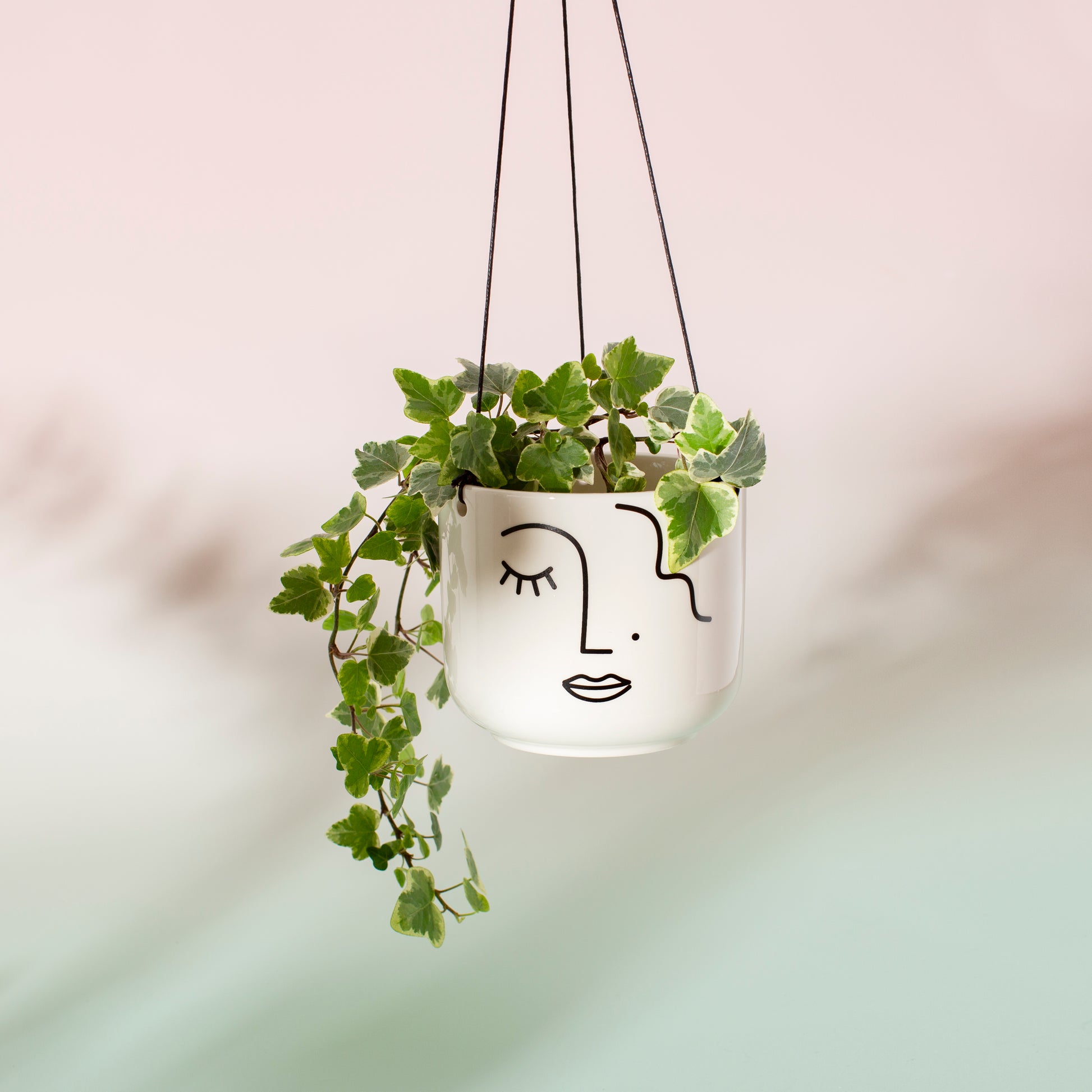 Hanging planter with green leaves in a white pot featuring a face design on a pink and green background