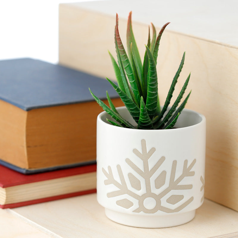 White decorative pot with a plant on top of stacked books