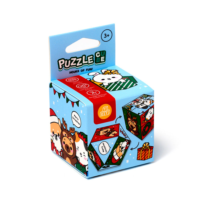 Box of Puzzle Cubes with Christmas-themed designs on a white background