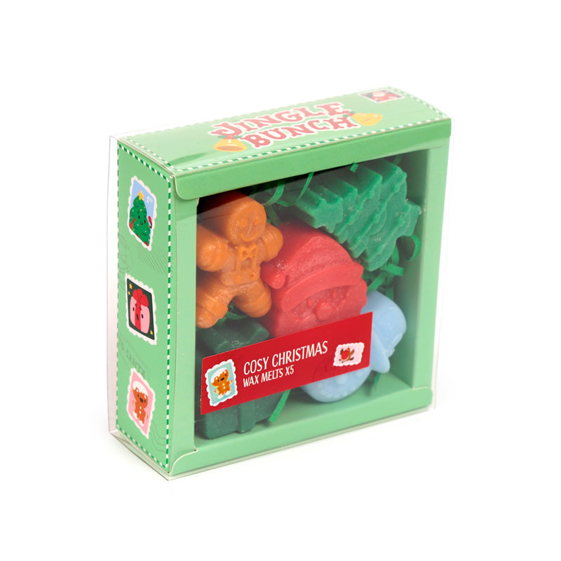 5 Christmas themed wax melts in a box on a white background
