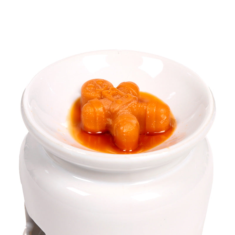 Christmas themed wax melt in a burner on a white background
