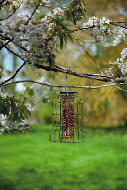 Green bird feeder hanging from a tree branch with white blossoms in a garden setting.