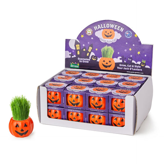 Display box of Halloween-themed plant kits with a small potted plant in front.
