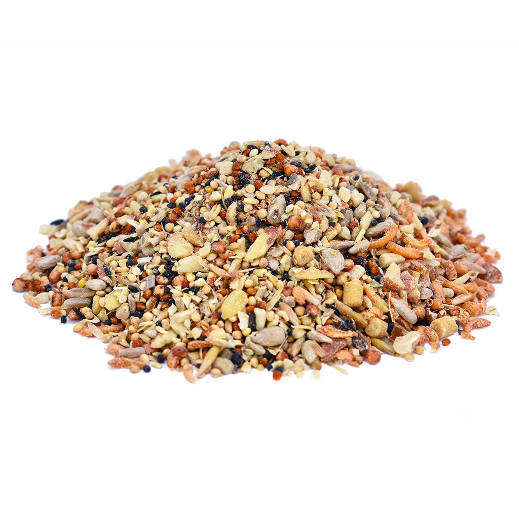 Peckish Blue Tit Bird Food 1kg