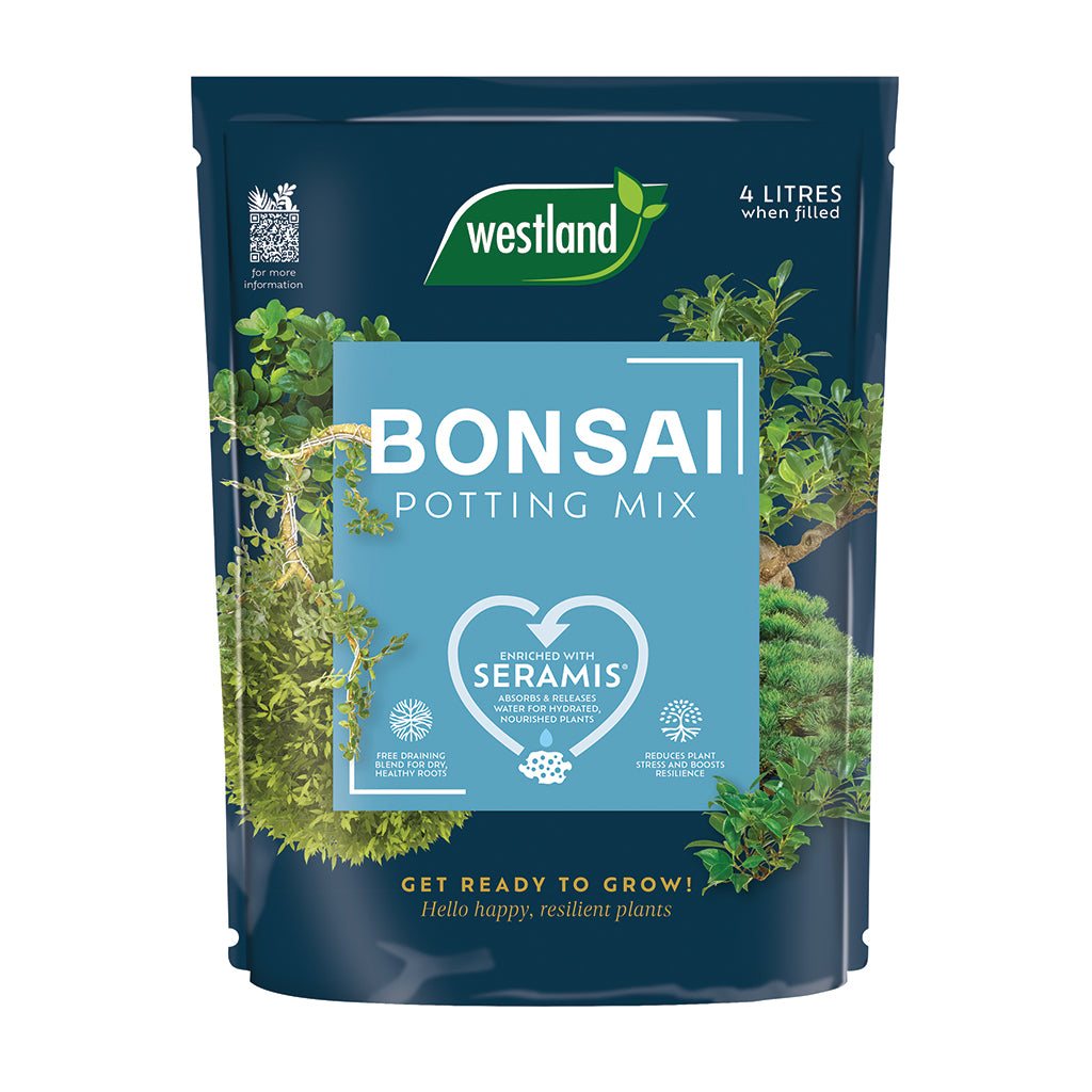 Bag of Westland Bonsai Potting Mix on a white background