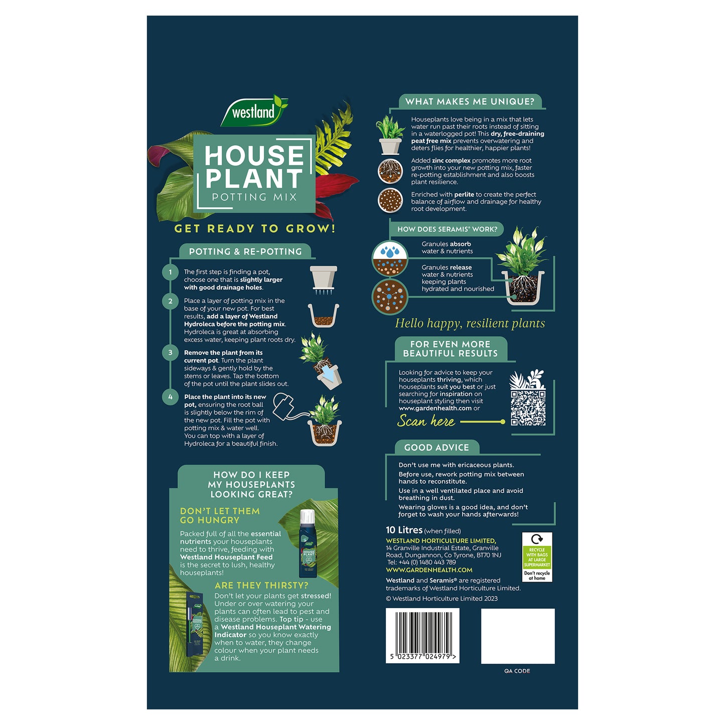 Bag of Westland Bonsai Potting Mix on a white background