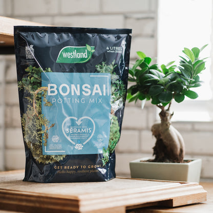 Bag of Westland Bonsai Potting Mix next to a Bonsai tree