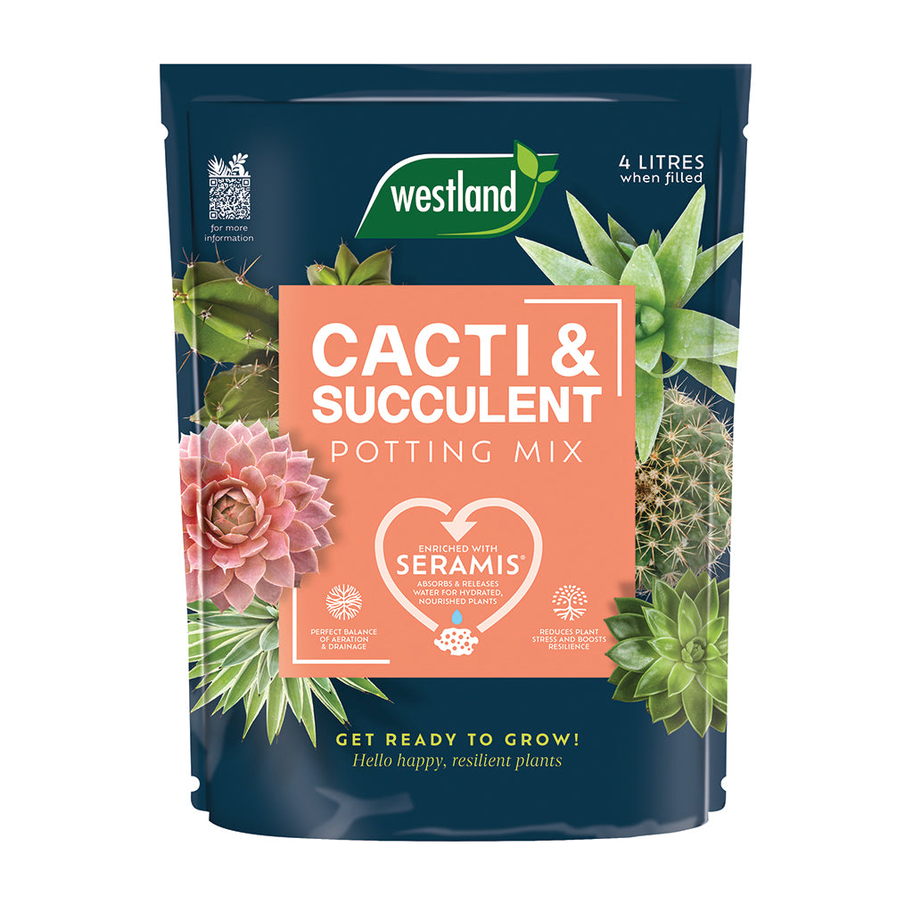 Westland cacti and succulent potting mix packaging with branding and product details.