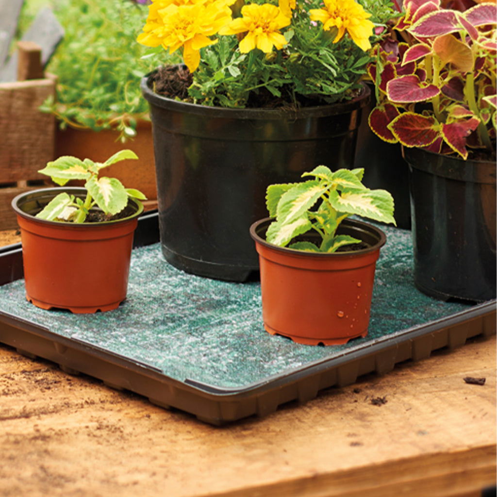 Grow It water retaining matting on a tray with potted plants on top