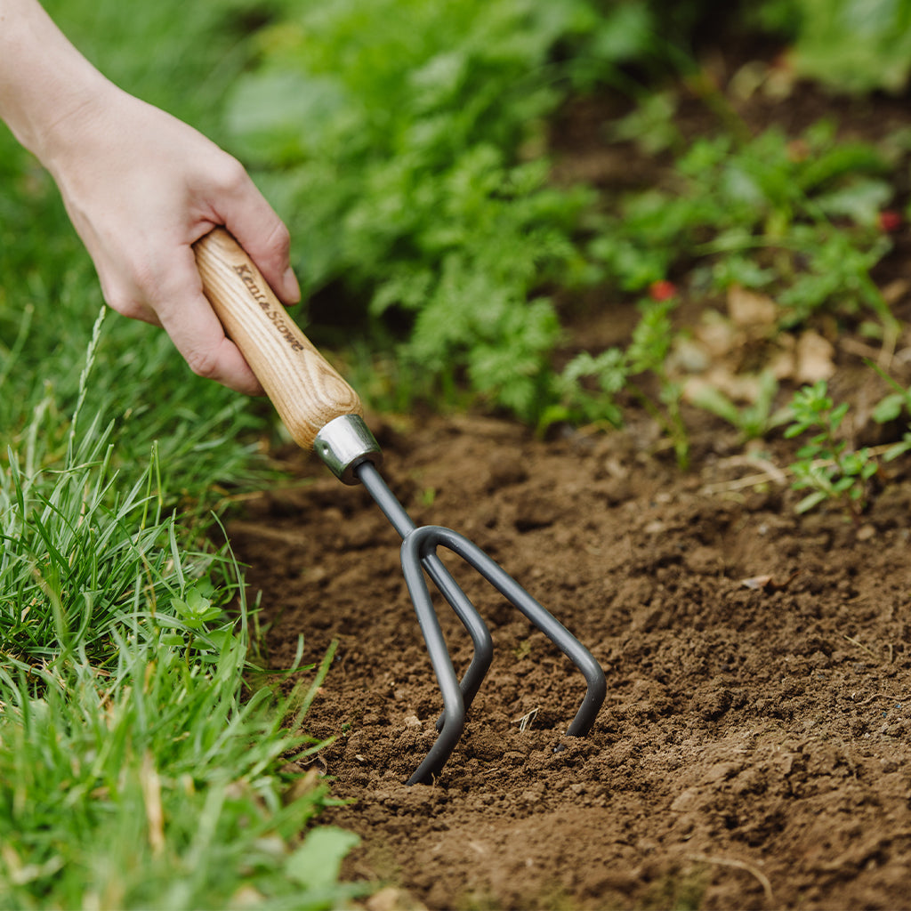 Hand holding a garden fork in soil with green plants in the background