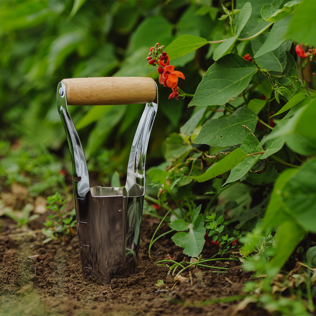 Gardening tool with wooden handle in soil surrounded by green plants and red flowers
