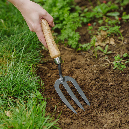 Hand holding a gardening fork in soil with grass and plants around