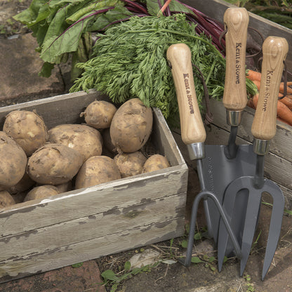 Wooden crate of potatoes with gardening tools and vegetables in the background