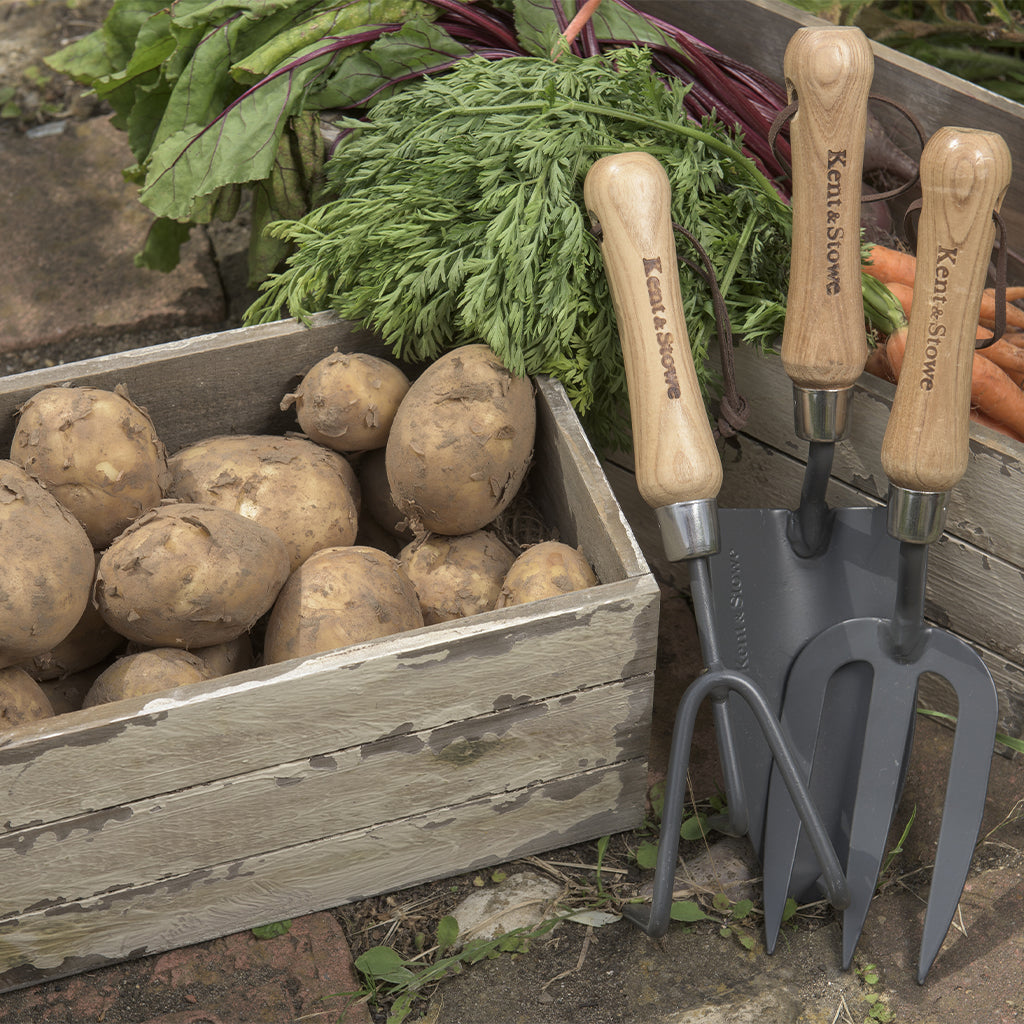 Wooden crate of potatoes with gardening tools and vegetables in the background