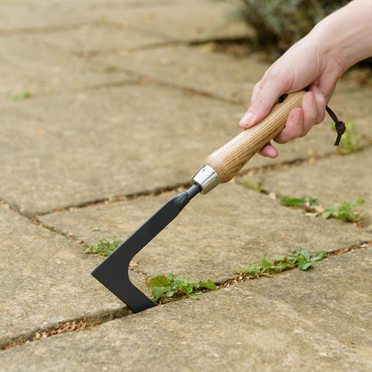 Hand using a garden tool to remove weeds from a crack in concrete pavement.