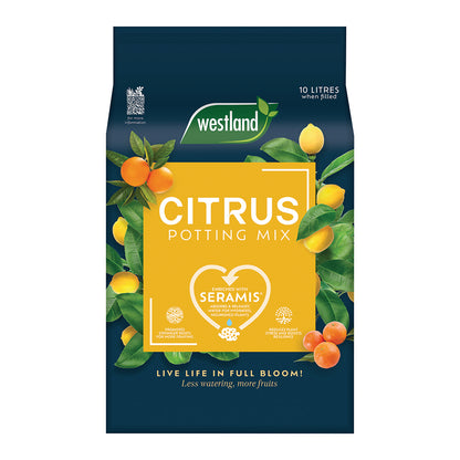 Westland Citrus Potting Mix 10L on a white background
