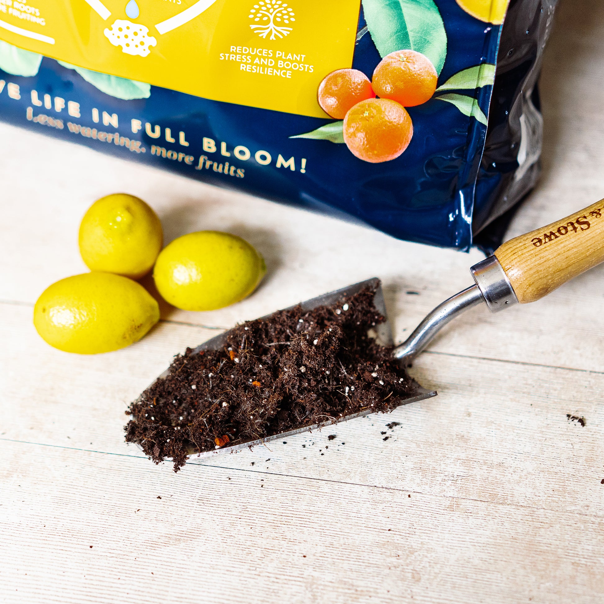 Westland Citrus Potting Mix on a trowel next to 3 lemons