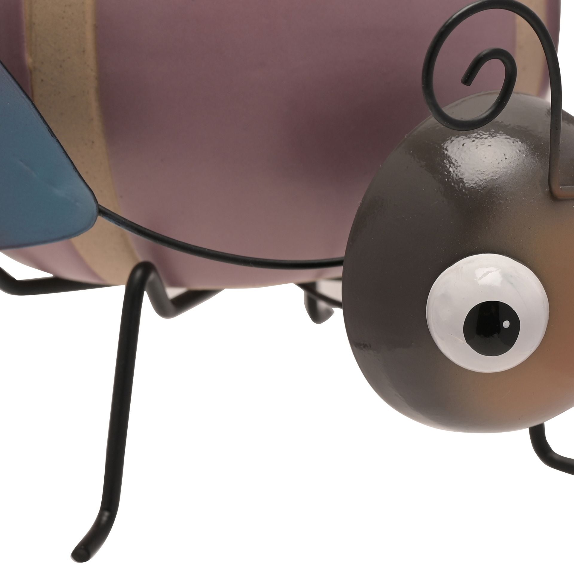 Close-up of a decorative ladybug with a white eye on a white background
