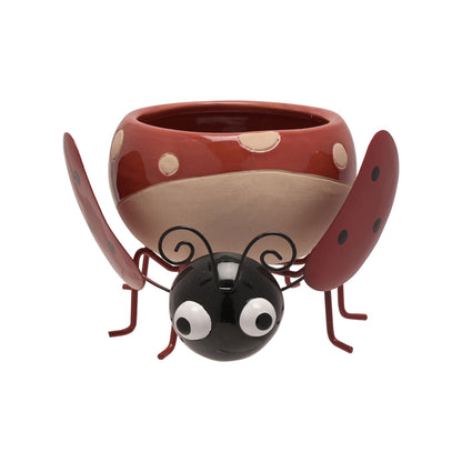 Ceramic ladybug-shaped planter on a white background