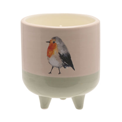 Ceramic pot with a robin design on a white background