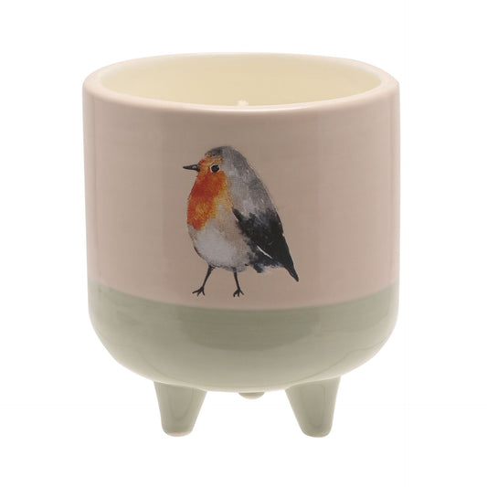 Ceramic pot with a robin design on a white background