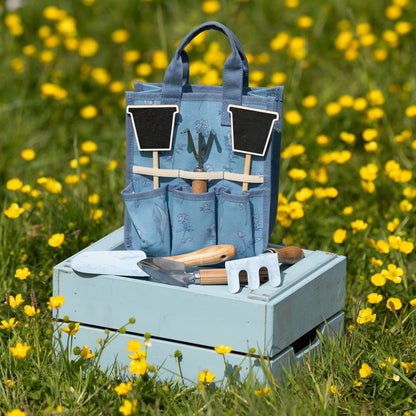 Blue gardening tool set with tools and bags on a wooden crate in a field of yellow flowers.